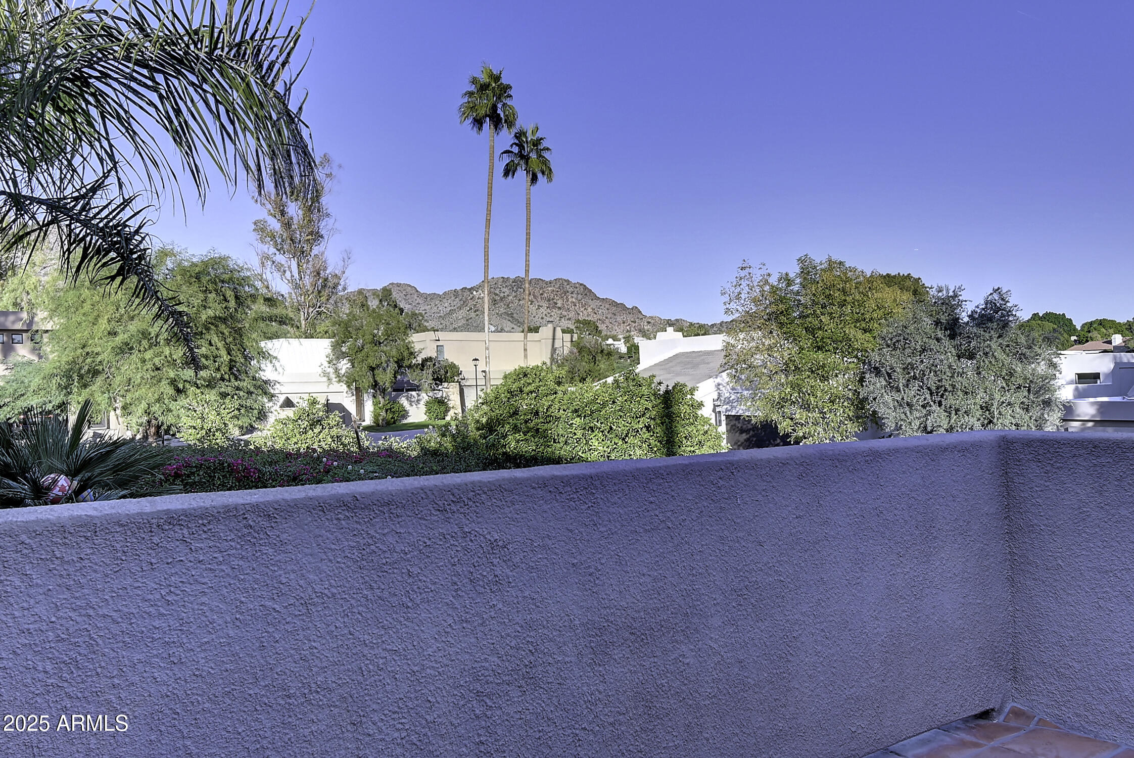 3050 East Marlette Avenue Phoenix, AZ 85016 - Photo 47 of 54 a view of a backyard