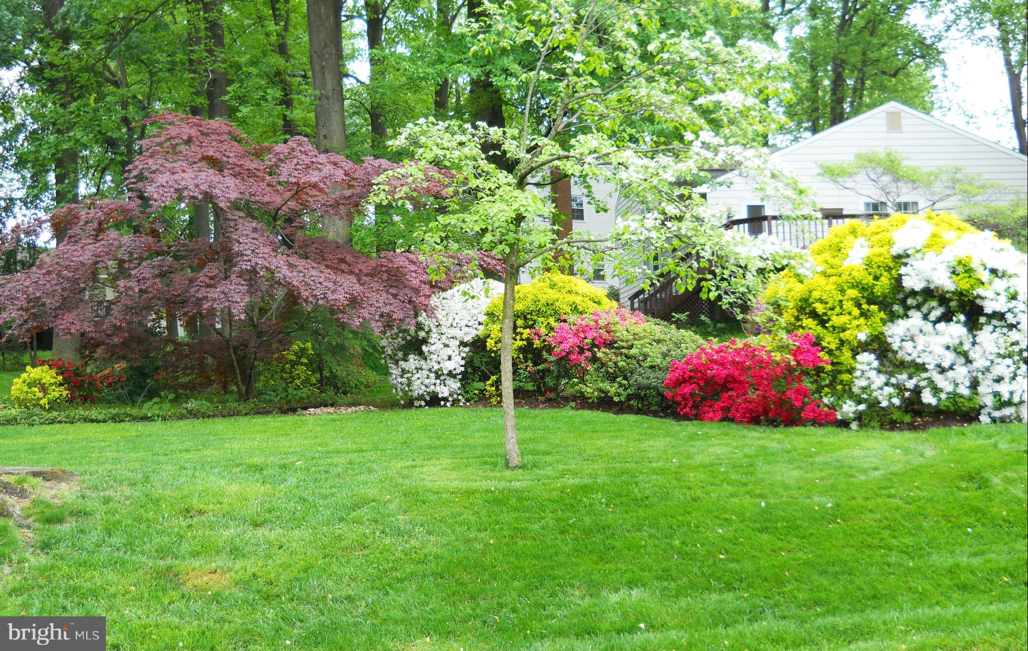 8425 Blevins Way Court Vienna, VA 22182 - Photo 3 of 30 a view of a garden with plants and large trees