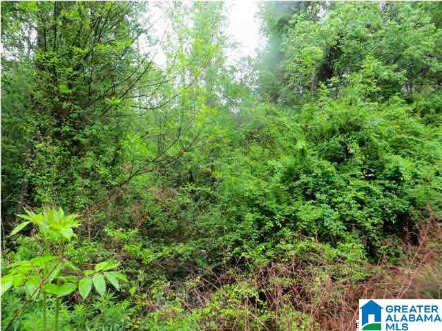 0 Jackson Trace Road, Unit 162ACRES Lincoln, AL 35096 - Photo 6 of 8 Gallery Image 6