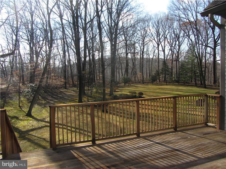 731 Glengarry Road Philadelphia, PA 19118 - Photo 11 of 25