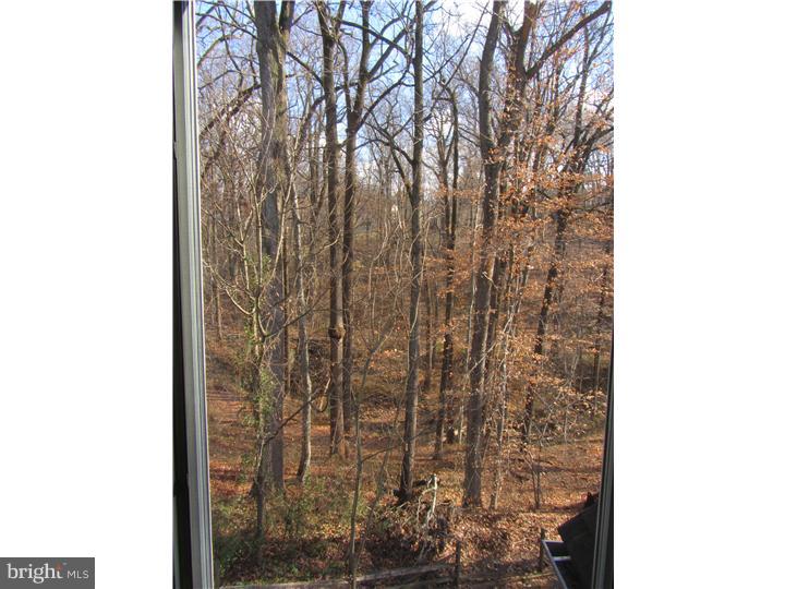 731 Glengarry Road Philadelphia, PA 19118 - Photo 25 of 25