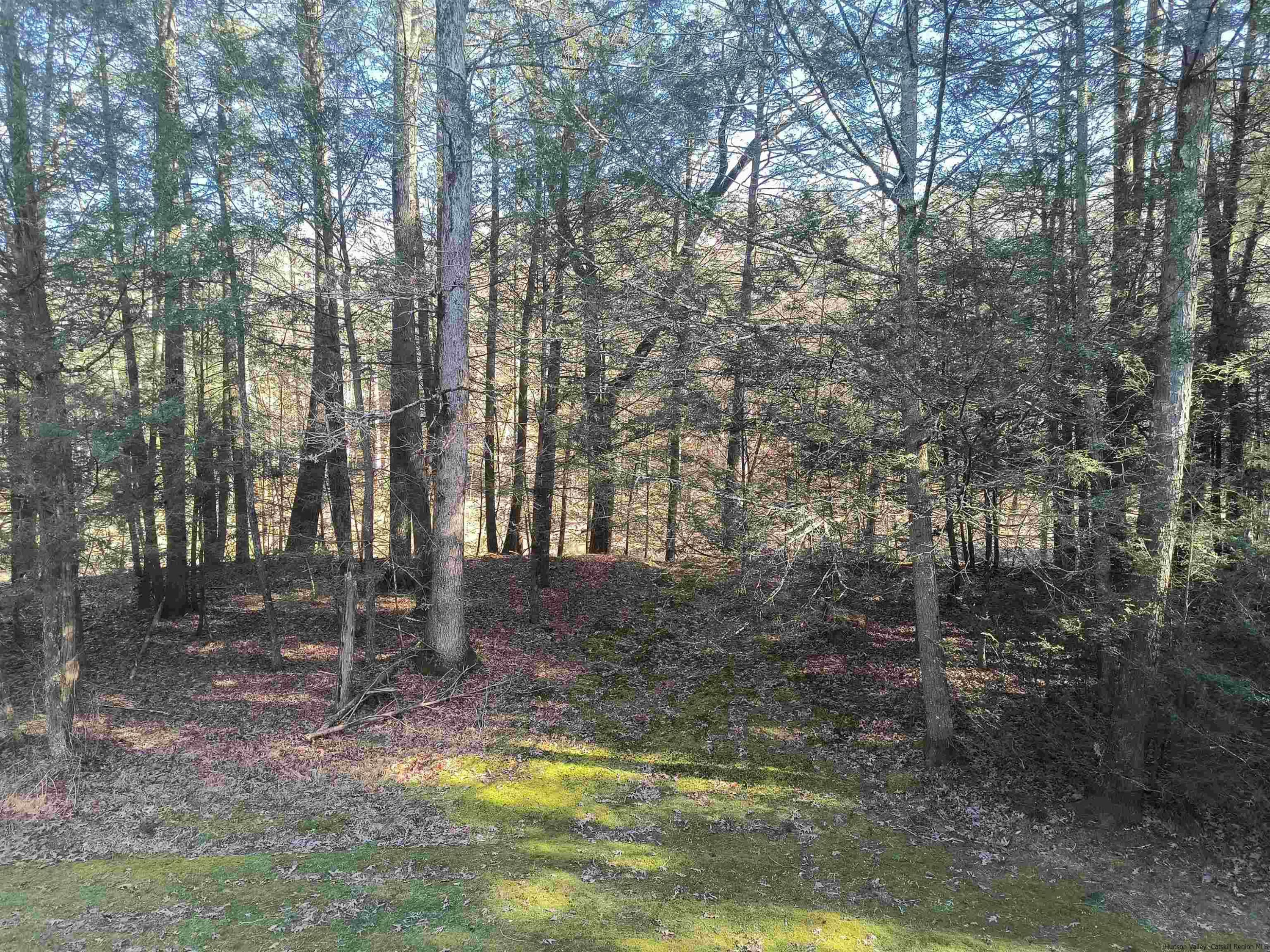 375 Phillips Road Saugerties, NY 12477 - Photo 7 of 14 Photo 7
