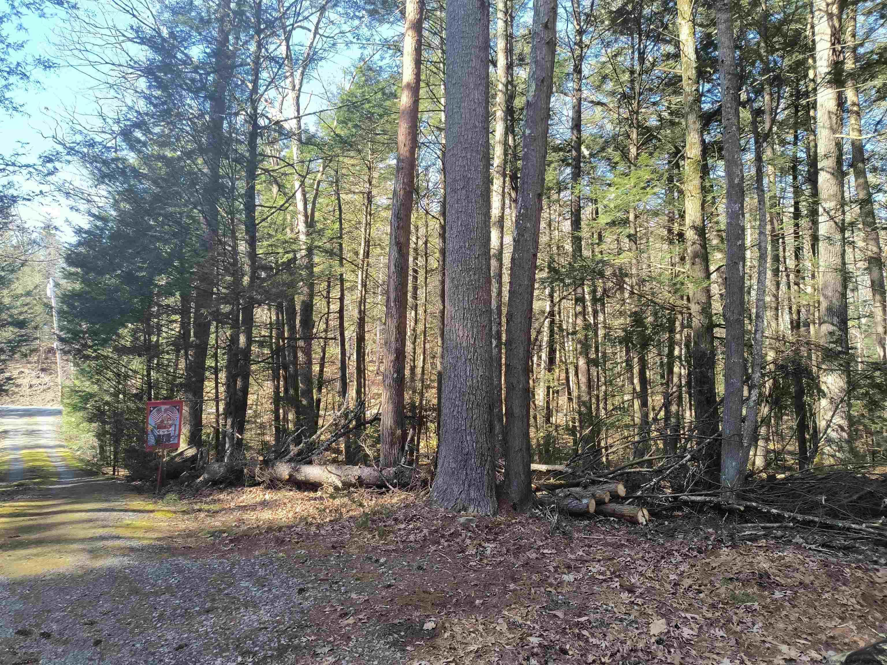 375 Phillips Road Saugerties, NY 12477 - Photo 8 of 14 Photo 8