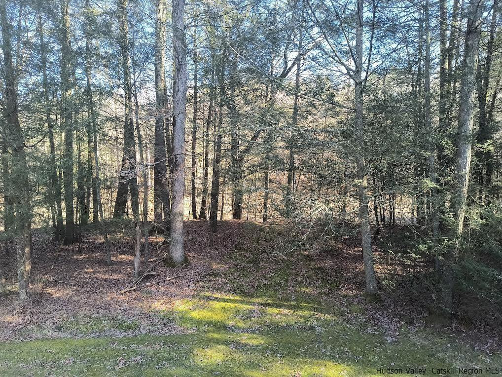 375 Phillips Road Saugerties, NY 12477 - Photo 9 of 14 Photo 9