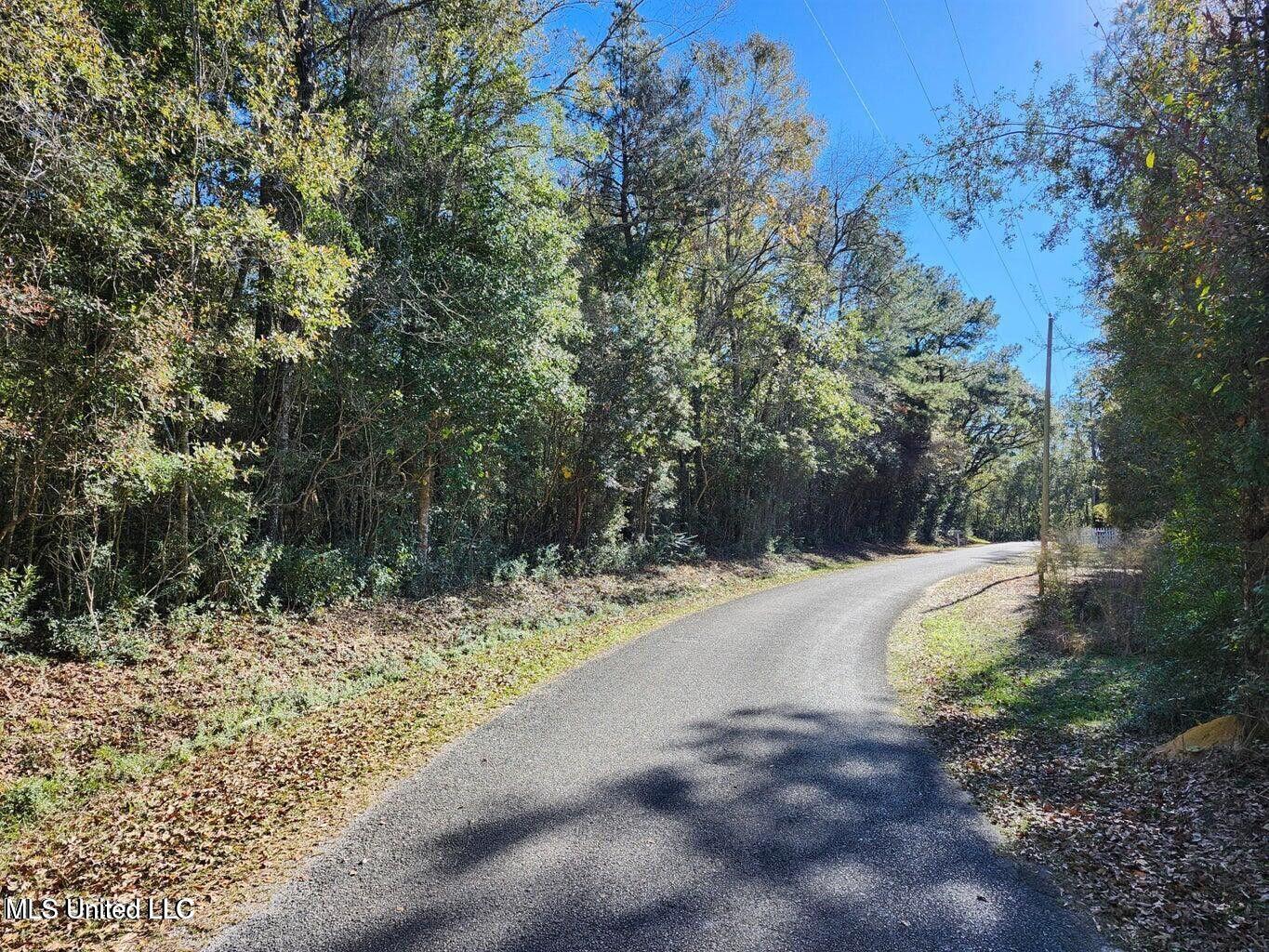 7 Hoda Road Kiln, MS 39556 - Photo 2 of 8 Road View