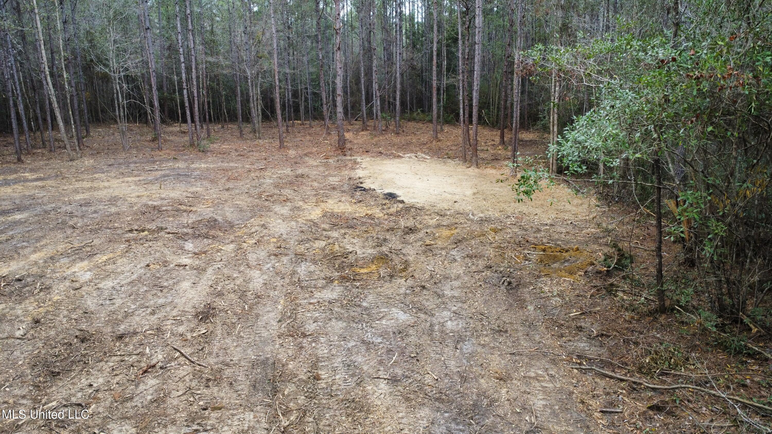 7 Hoda Road Kiln, MS 39556 - Photo 7 of 8 dji_fly_20260218_163018_98_1771454963660