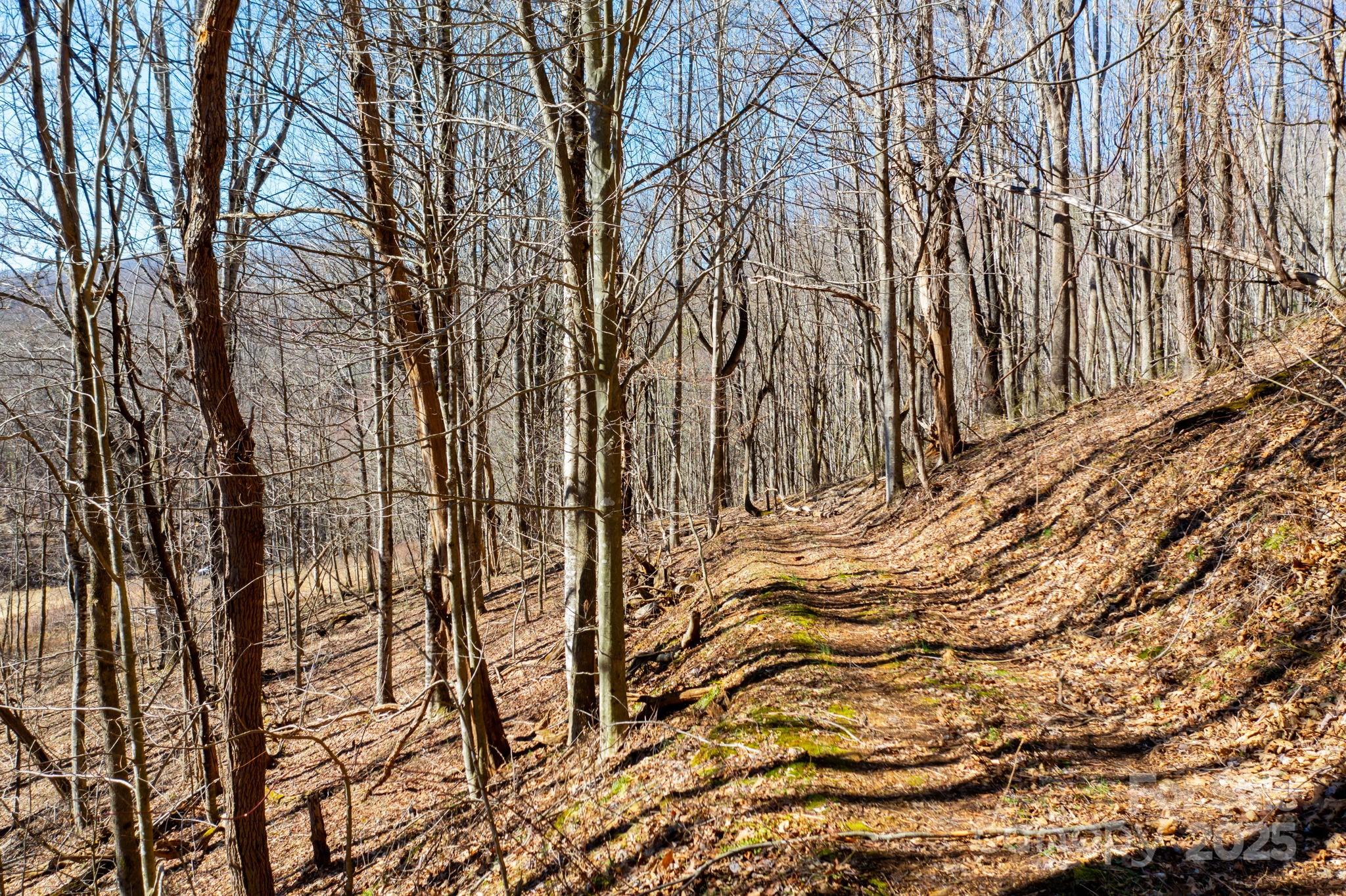 61-acres Glenn Miller Road Warrensville, NC 28693 - Photo 11 of 46
