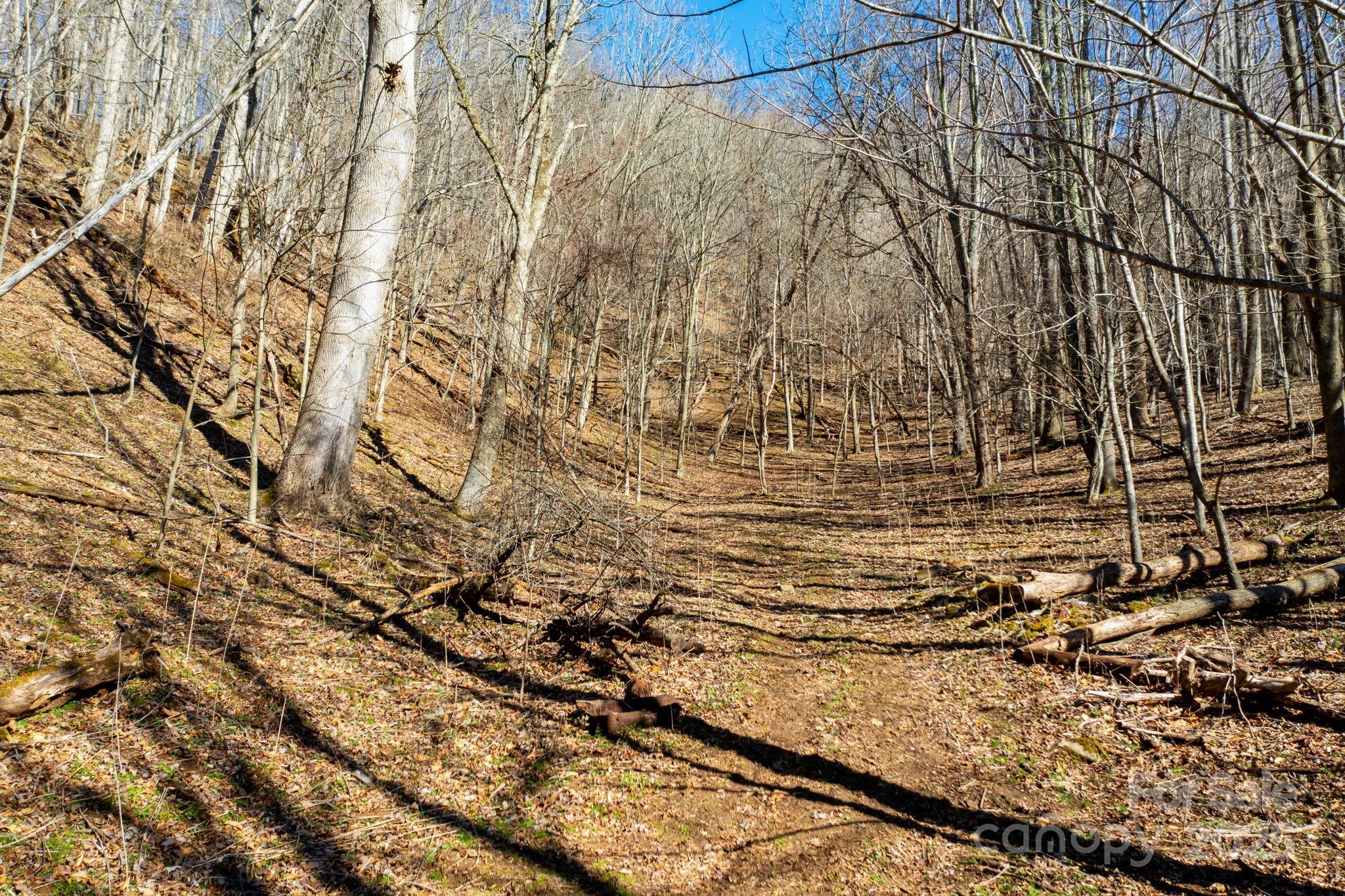 61-acres Glenn Miller Road Warrensville, NC 28693 - Photo 12 of 46 a view of empty room with wooden floor