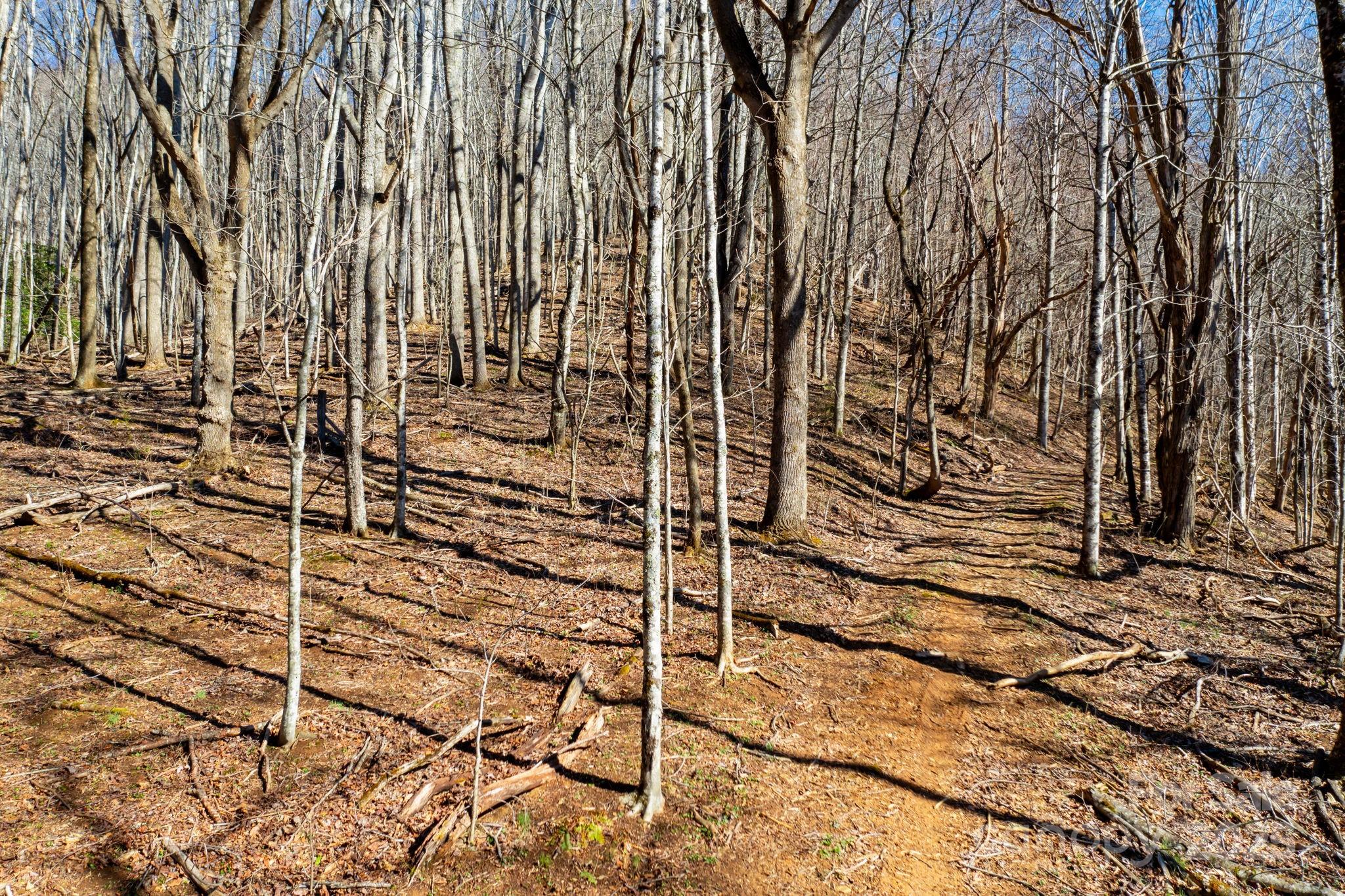 61-acres Glenn Miller Road Warrensville, NC 28693 - Photo 13 of 46 a view of a door