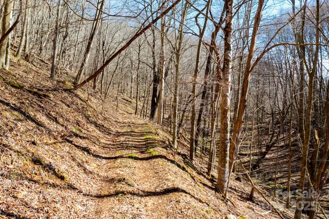 a view of yard with green space