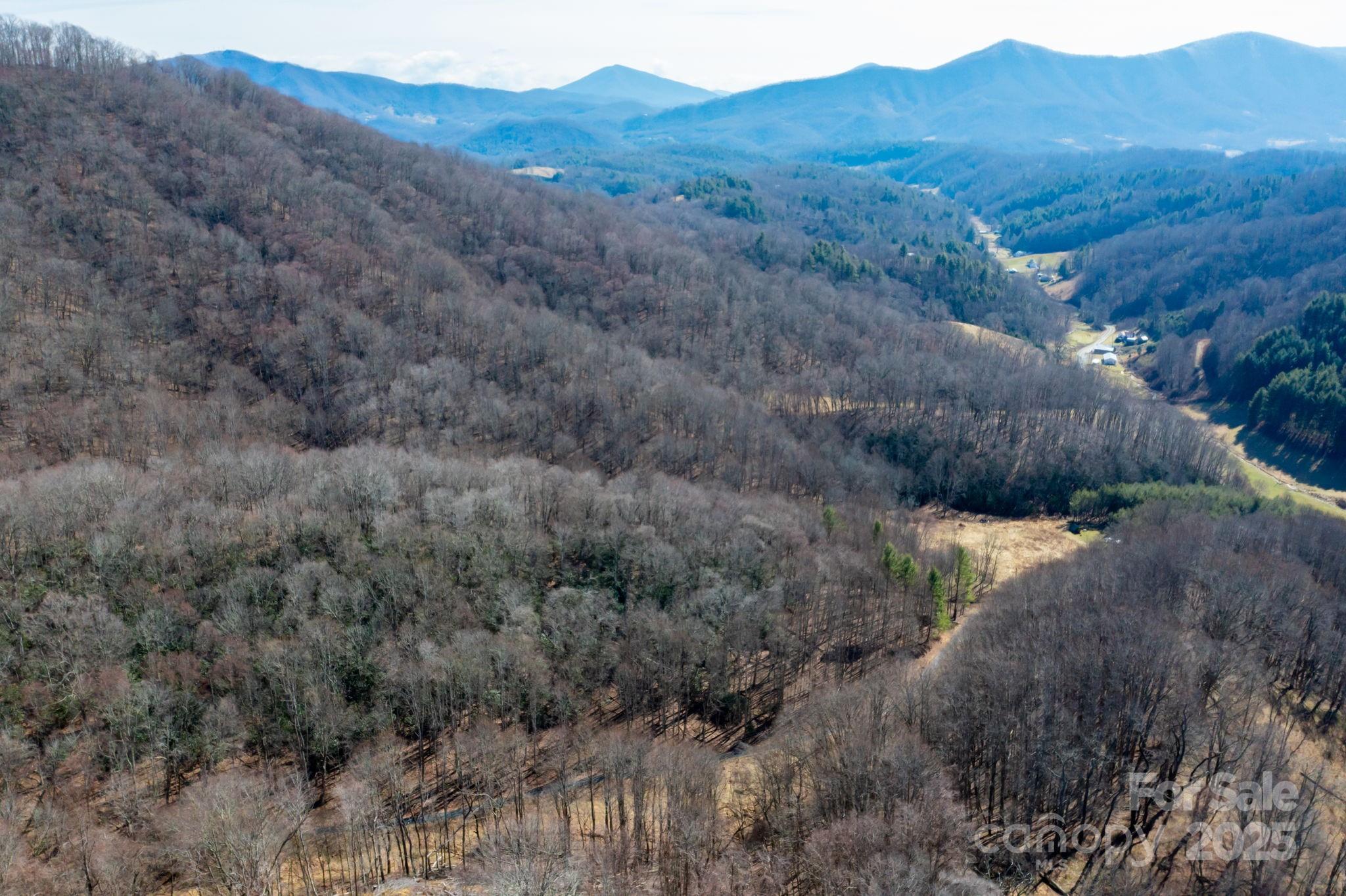 61-acres Glenn Miller Road Warrensville, NC 28693 - Photo 2 of 46 a view of a lush green hillside and a mountain