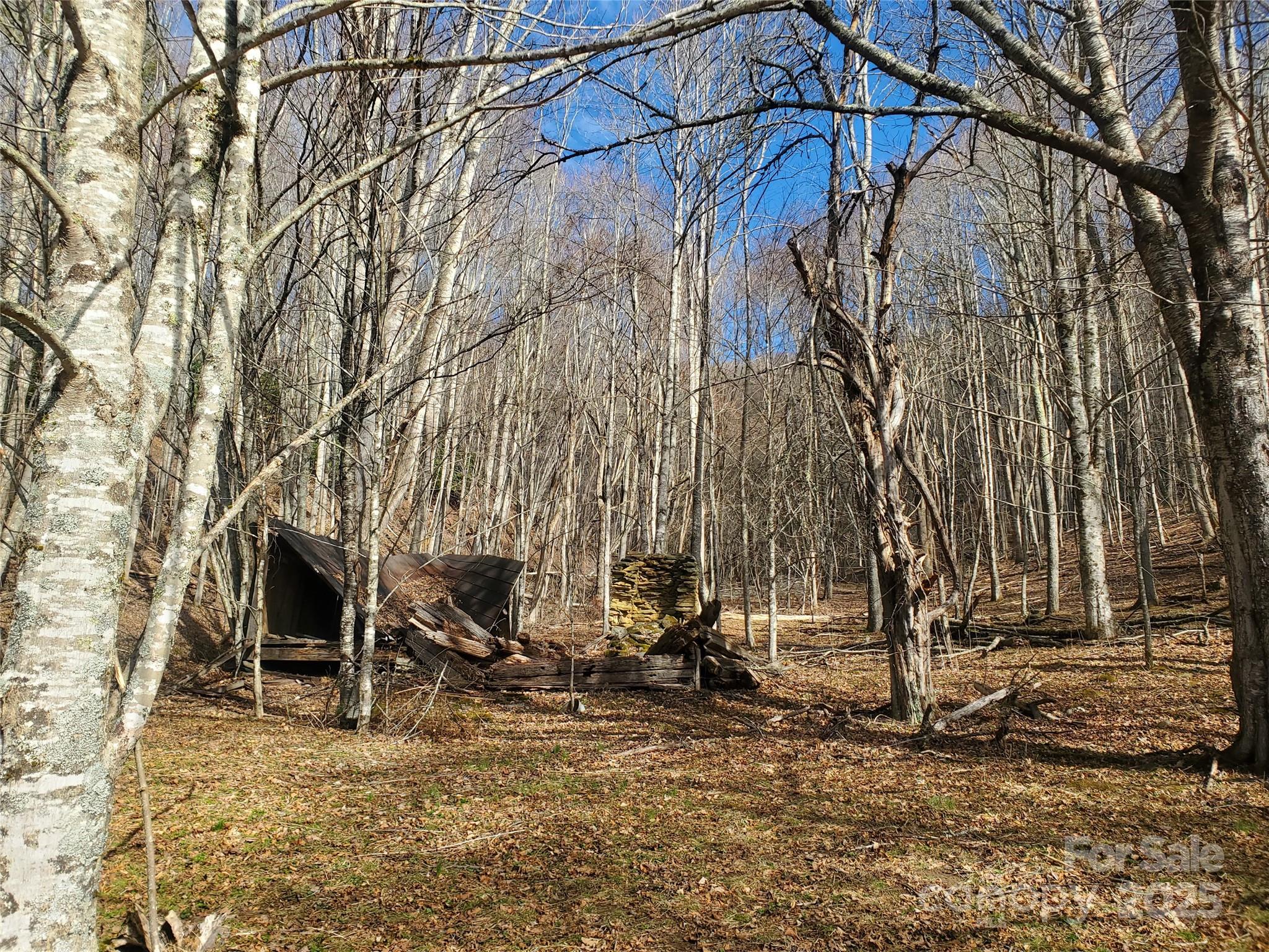 61-acres Glenn Miller Road Warrensville, NC 28693 - Photo 21 of 46 a view of a yard with wooden fence