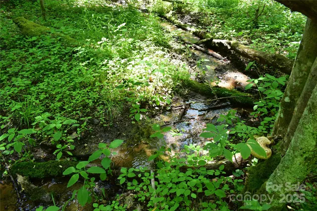 a view of yard with green space