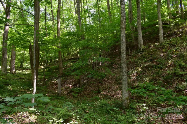 a view of swimming pool from a yard