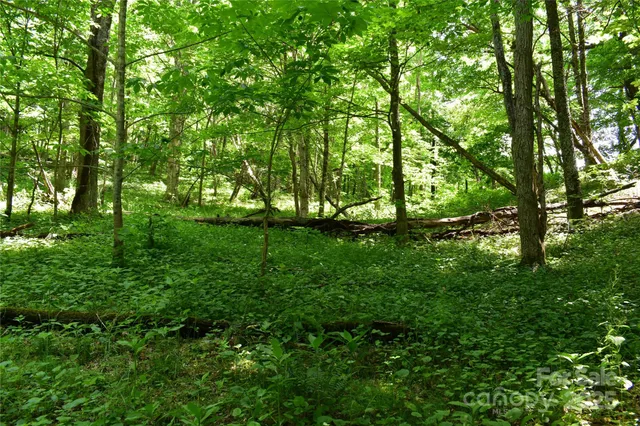 a view of outdoor space and trees