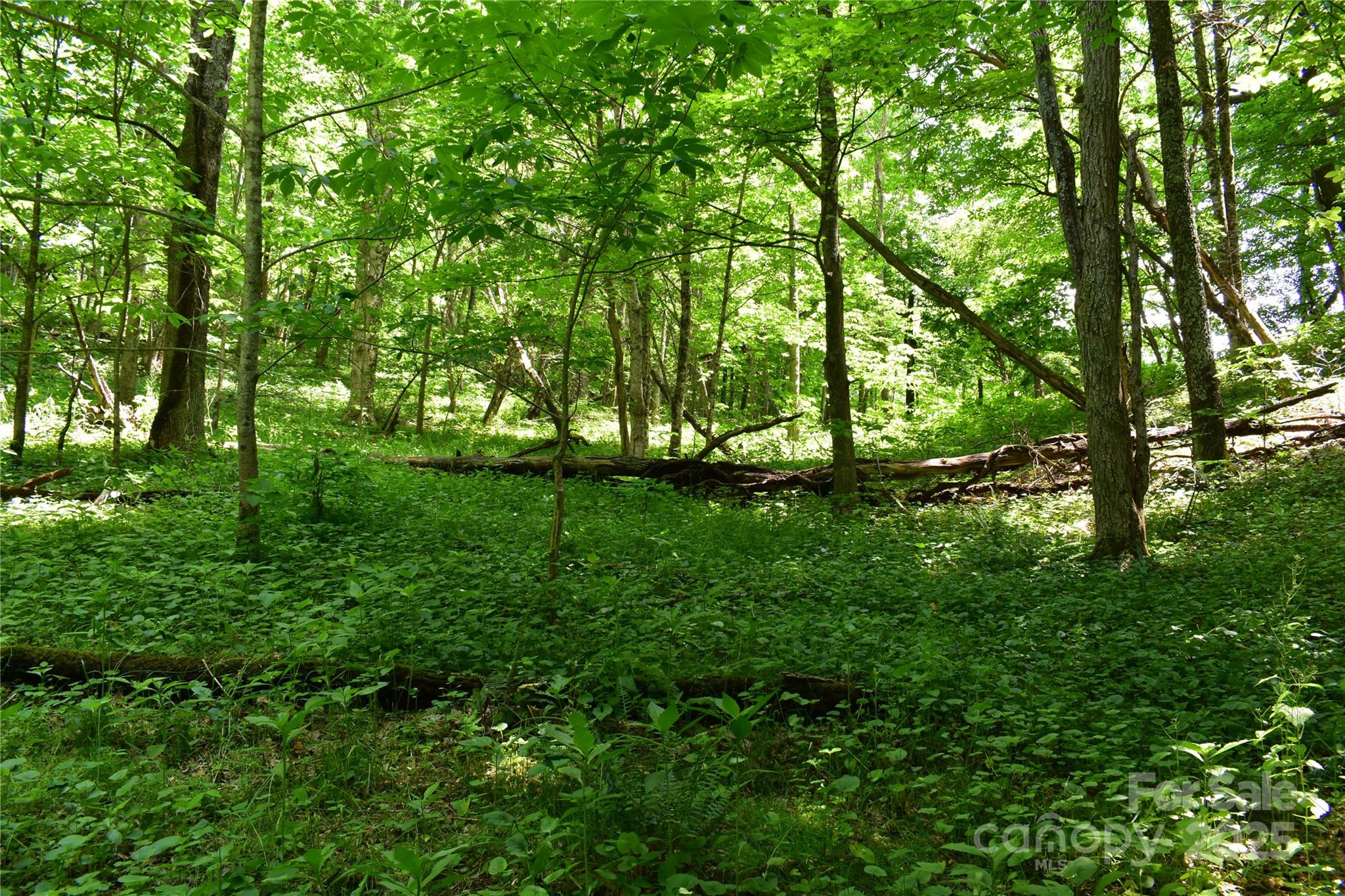 61-acres Glenn Miller Road Warrensville, NC 28693 - Photo 30 of 46 a view of swimming pool from a yard