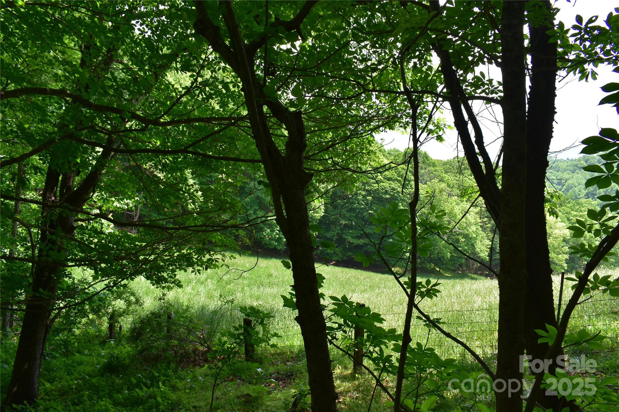 61-acres Glenn Miller Road Warrensville, NC 28693 - Photo 32 of 46 a view of outdoor space and trees