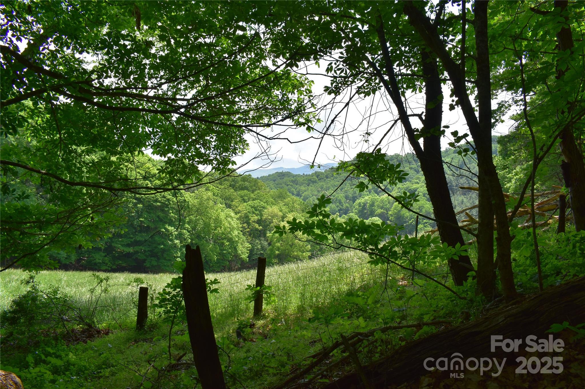 61-acres Glenn Miller Road Warrensville, NC 28693 - Photo 33 of 46 a view of an outdoor space with a lake view