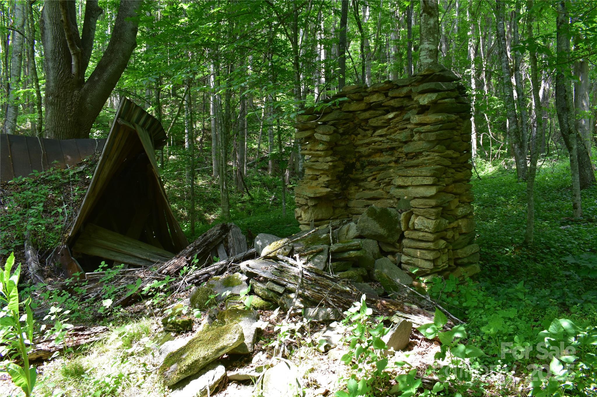 61-acres Glenn Miller Road Warrensville, NC 28693 - Photo 39 of 46 a view of a garden