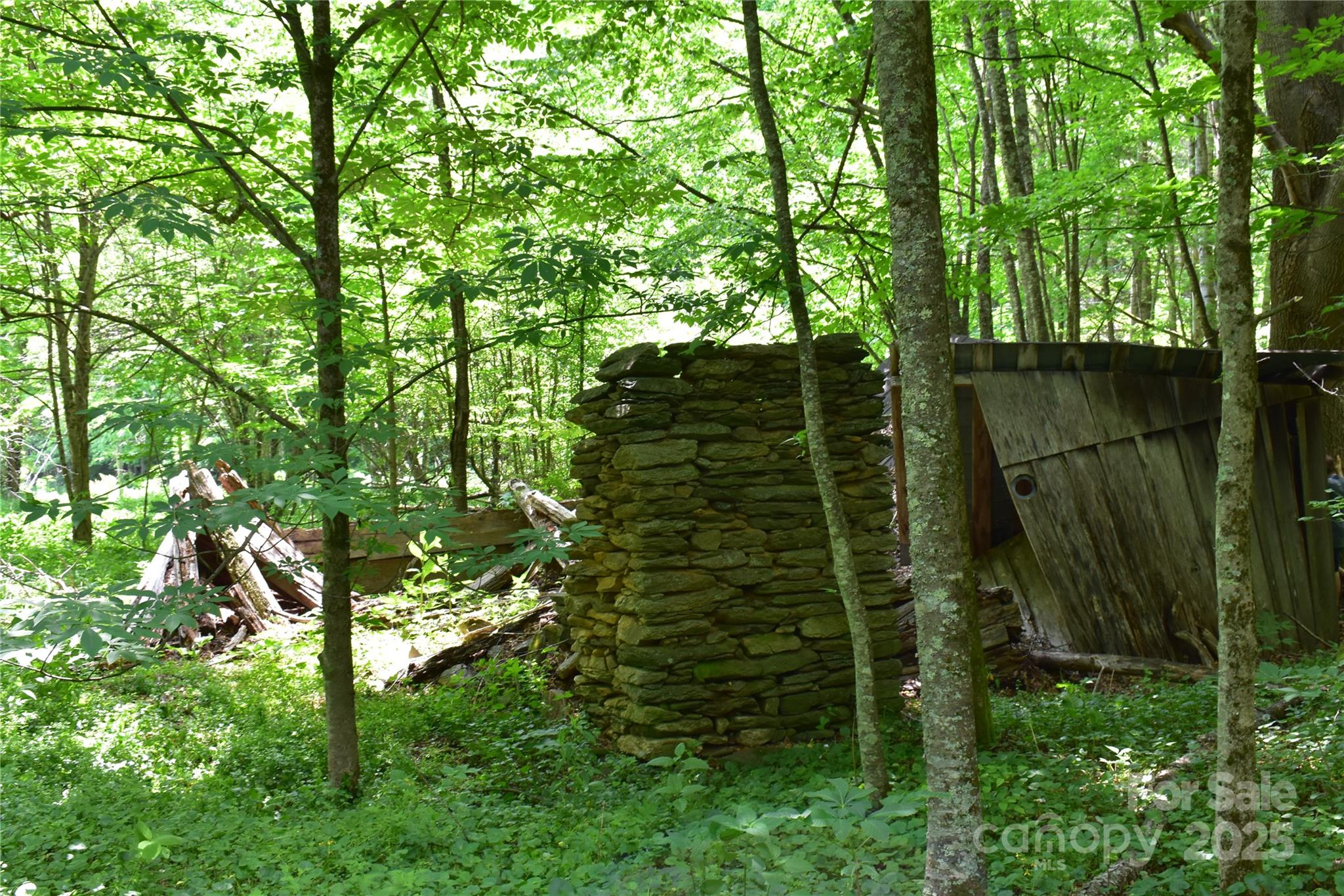 61-acres Glenn Miller Road Warrensville, NC 28693 - Photo 41 of 46 a view of forest