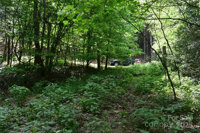 $898,000 | 61-acres Glenn Miller Road, Warrensville, NC 28693