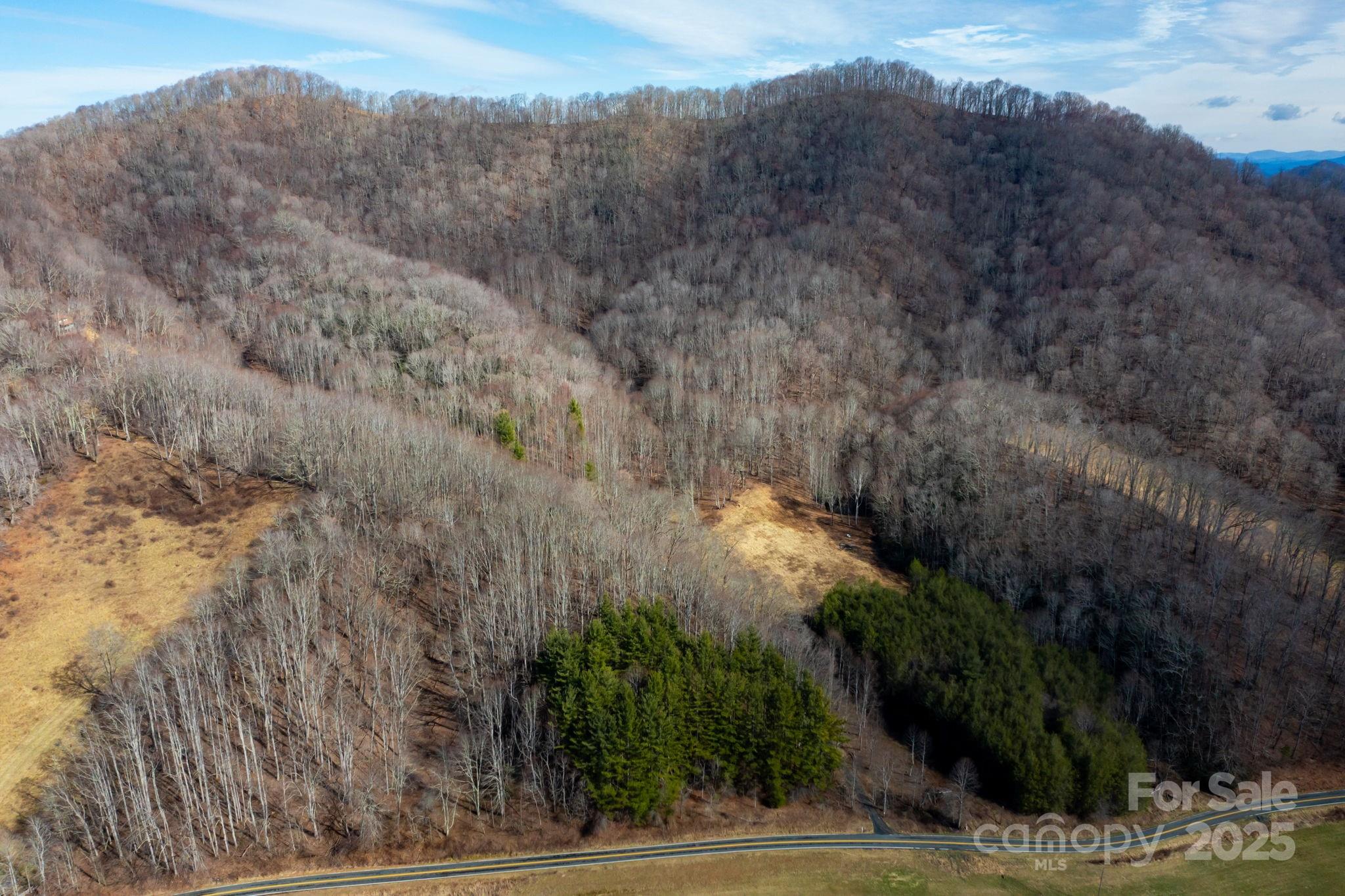 61-acres Glenn Miller Road Warrensville, NC 28693 - Photo 8 of 46 a view of a yard with mountain