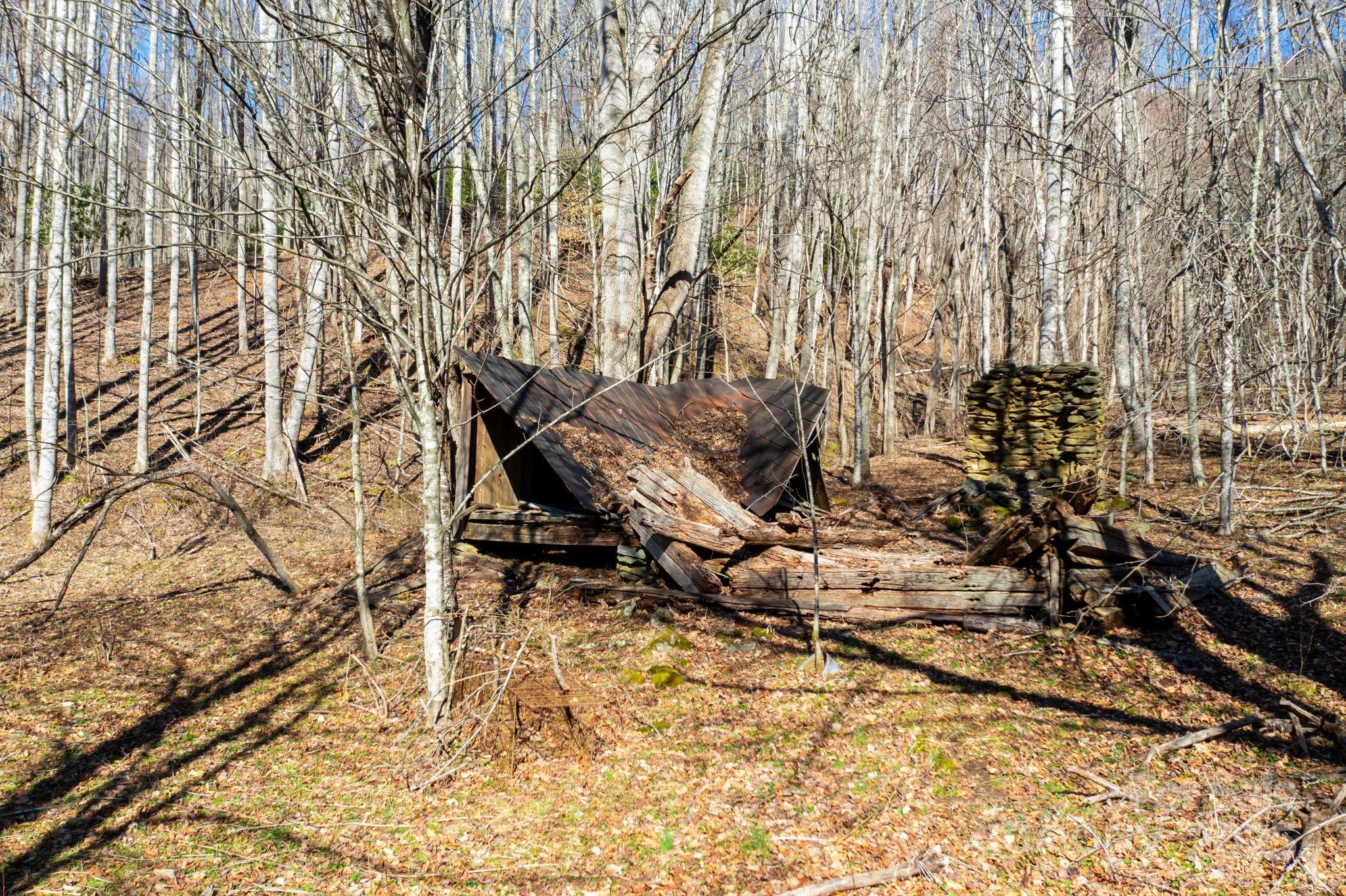 61-acres Glenn Miller Road Warrensville, NC 28693 - Photo 10 of 46 a backyard of a house with table and chairs