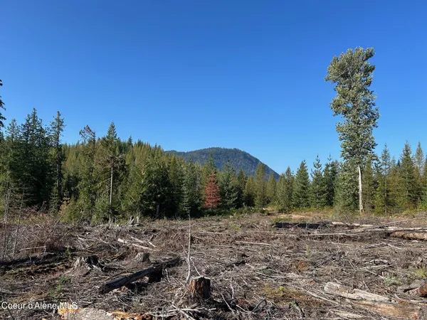 $168,500 | 7 Usfs 2294 Clark Fork, Clark Fork, ID 83811