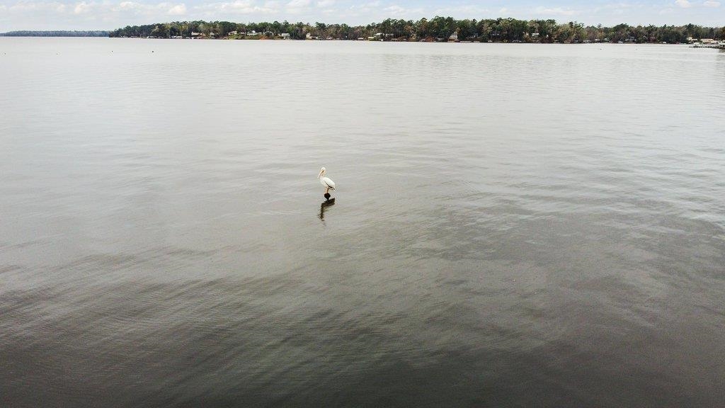 2862 Lakeview Point Road Quincy, FL 32351 - Photo 9 of 36