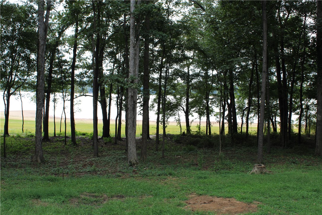 174 Meredith Lake Road Townville, SC 29689 - Photo 1 of 14 Gallery Image 1