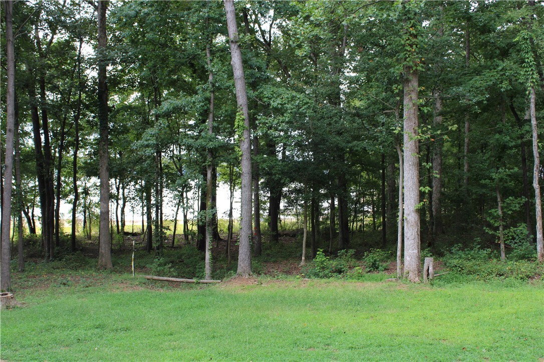 174 Meredith Lake Road Townville, SC 29689 - Photo 3 of 14 Gallery Image 3
