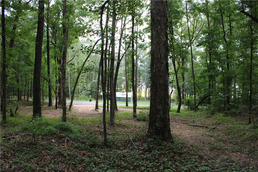 174 Meredith Lake Road Townville, SC 29689 - Photo 5 of 14 Gallery Image 5