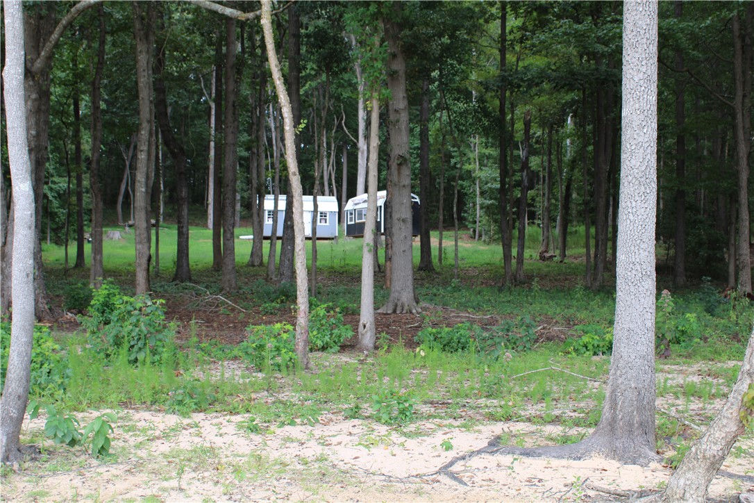 174 Meredith Lake Road Townville, SC 29689 - Photo 10 of 14 Gallery Image 10