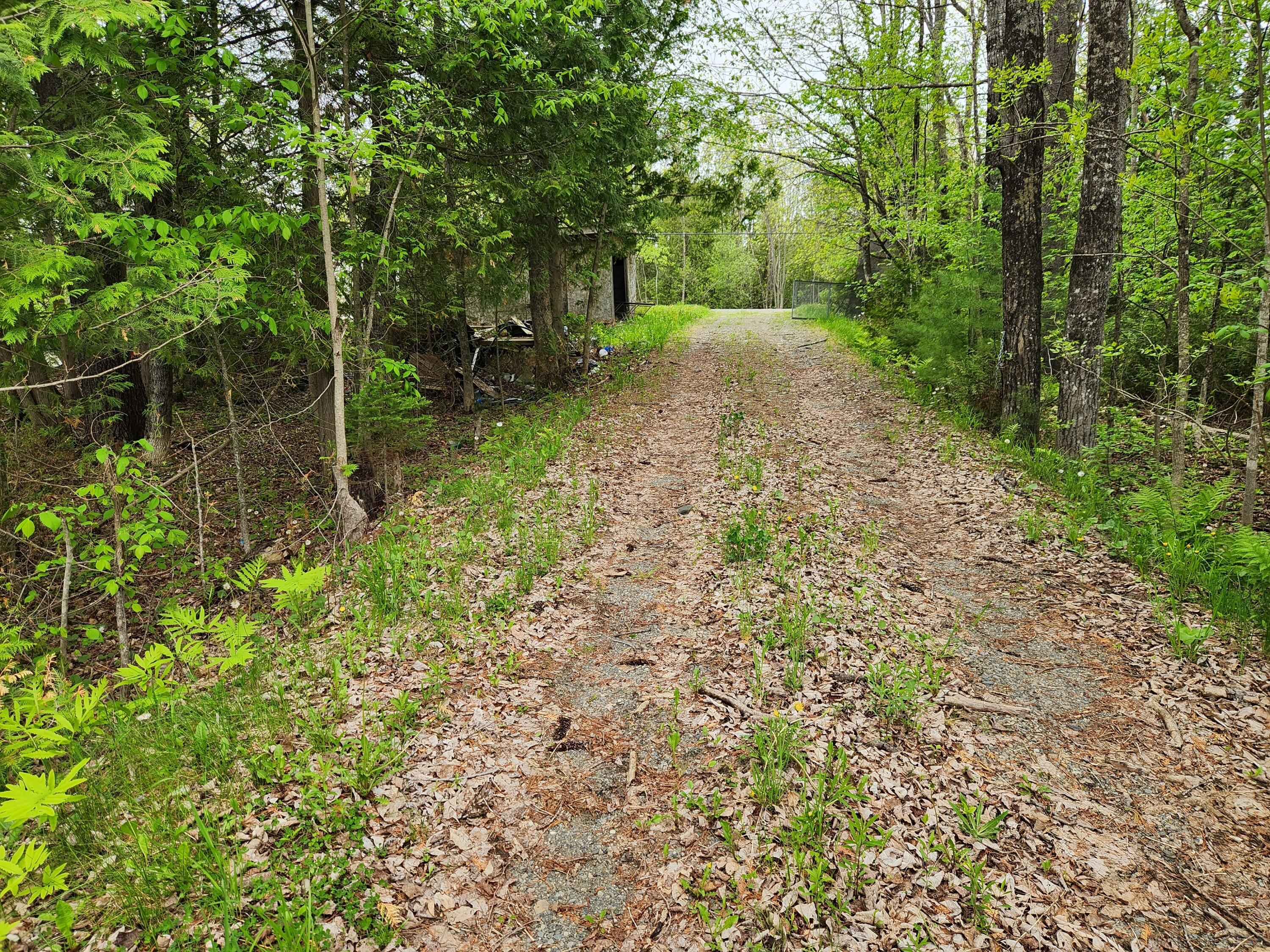 510 Dexter Road Garland, ME 04939 - Photo 23 of 34 20250521_090729