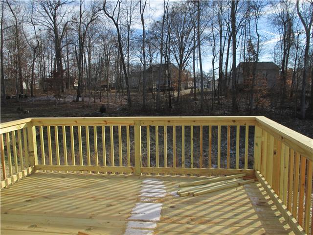 138 Whitetail Ridge Clarksville, TN 37040 - Photo 13 of 14 Gallery Image 13