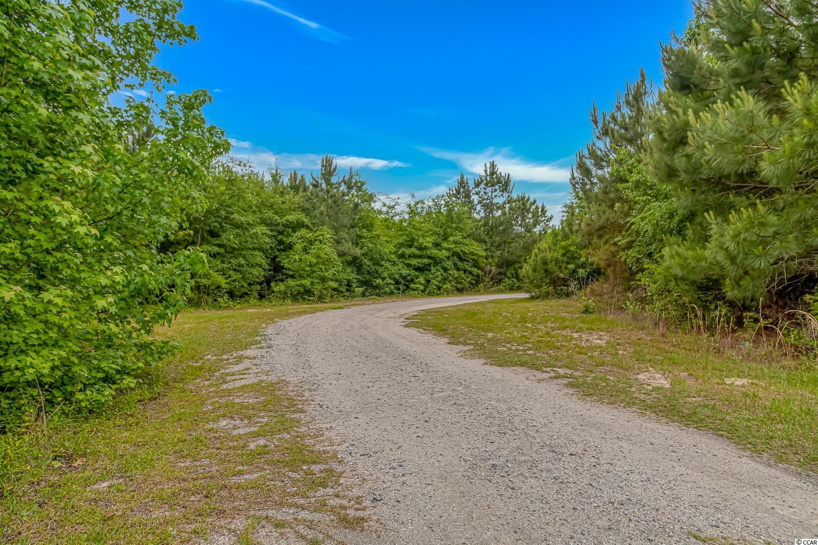 325 West Sellers Road Marion, SC 29571 - Photo 19 of 33 Gallery Image 19