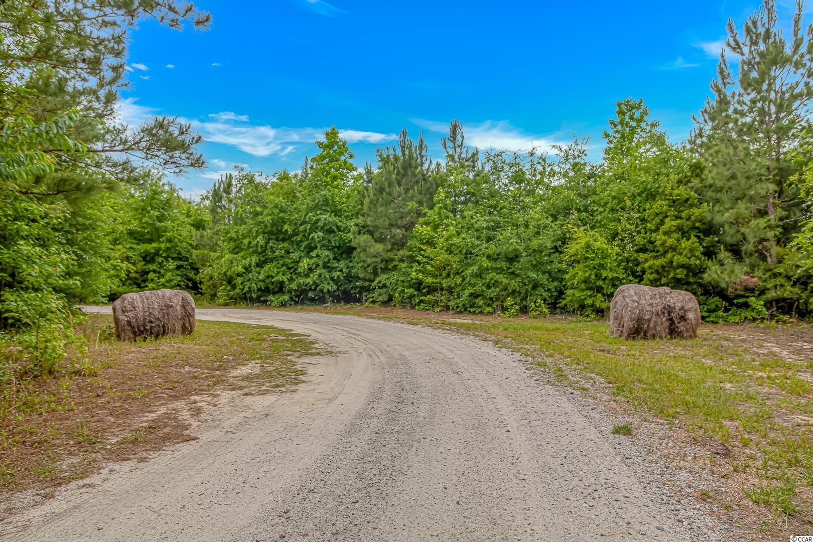 325 West Sellers Road Marion, SC 29571 - Photo 20 of 33 Gallery Image 20