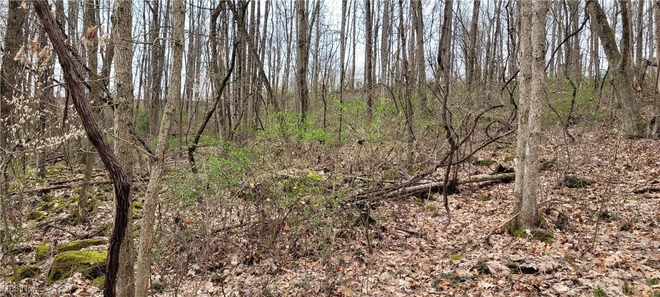 Bethel Road Newcomerstown, OH 43832 - Photo 21 of 21 Gallery Image 21