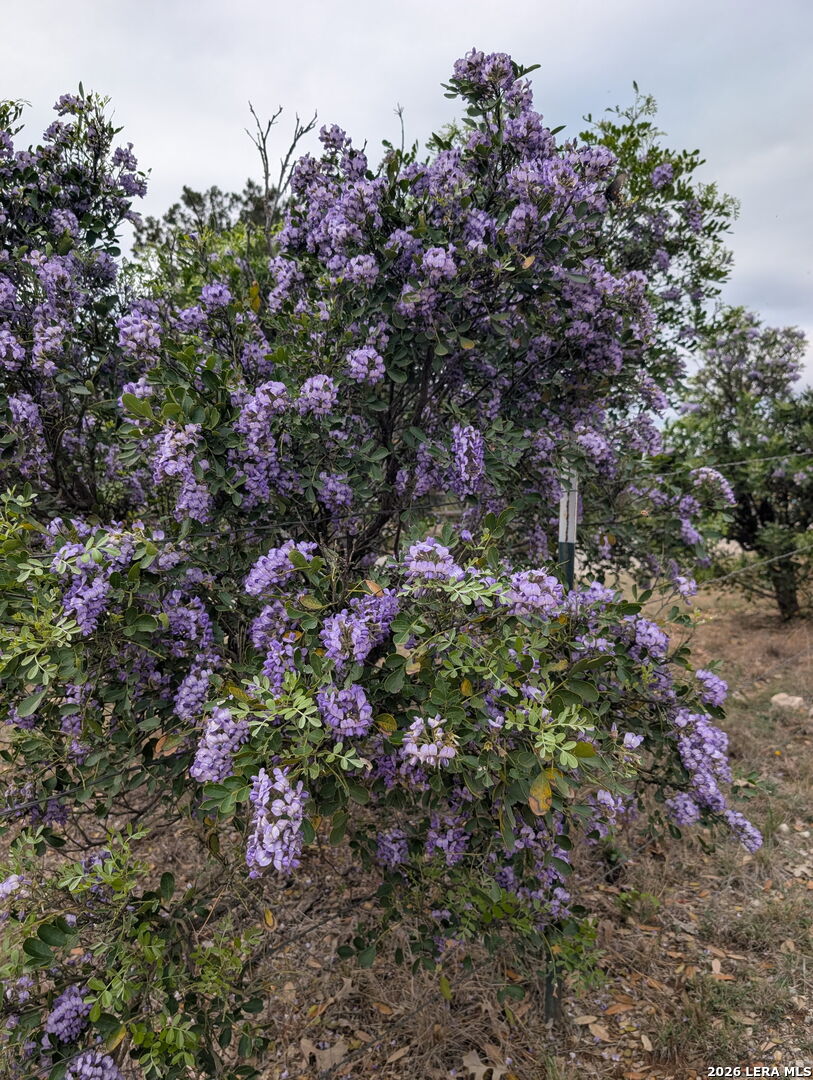 1333 Comanche Path Bandera, TX 78003 - Photo 40 of 41