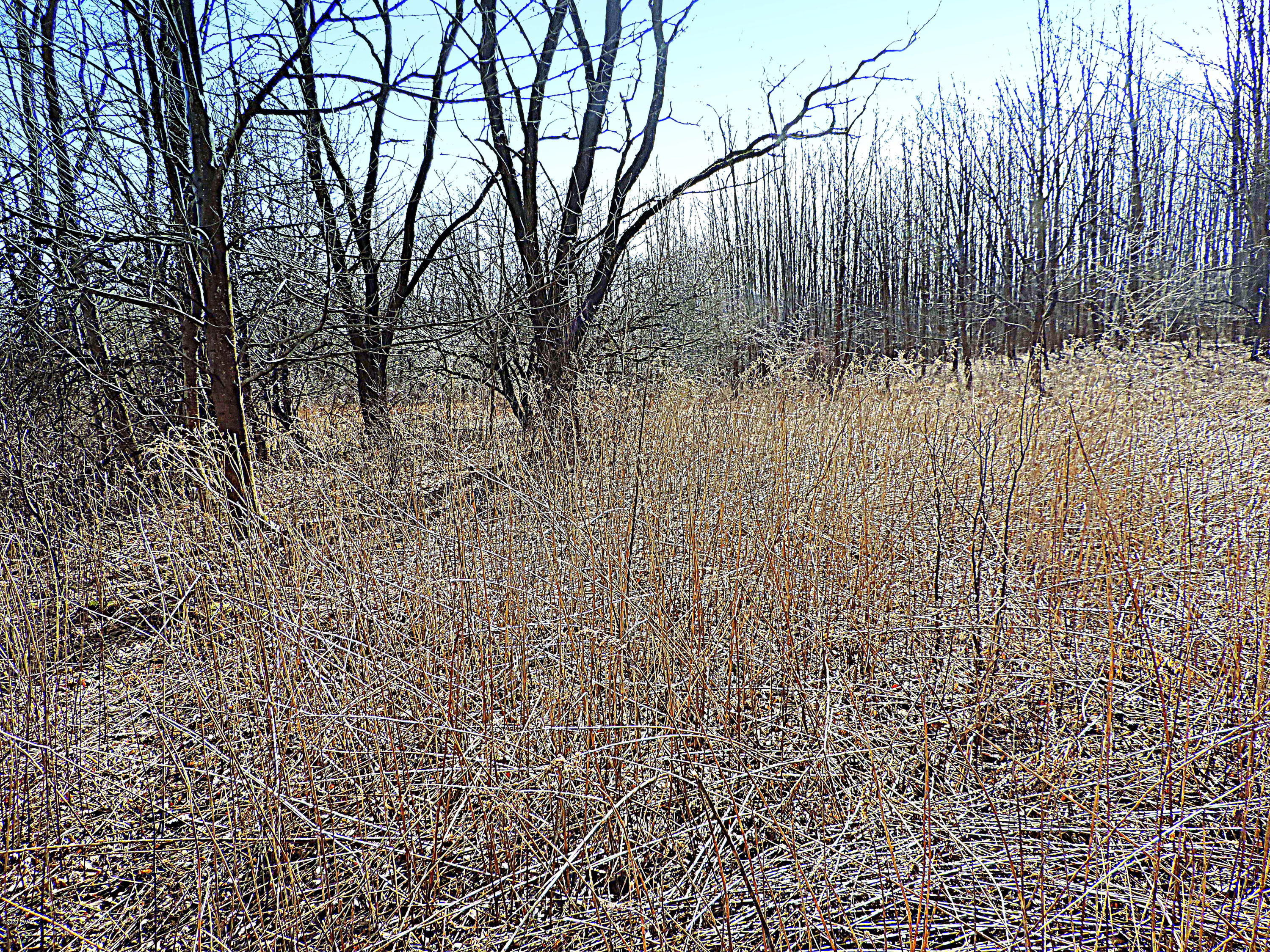 670 & Route Pleasant Mount, PA 18453 - Photo 5 of 20 20 Acs. Rte170 & 670