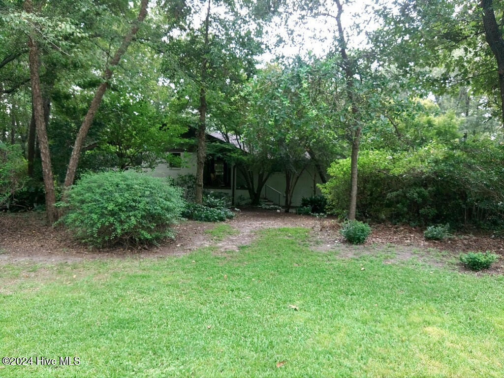 248 Ravenswood Road Hampstead, NC 28443 - Photo 59 of 71 Front yard