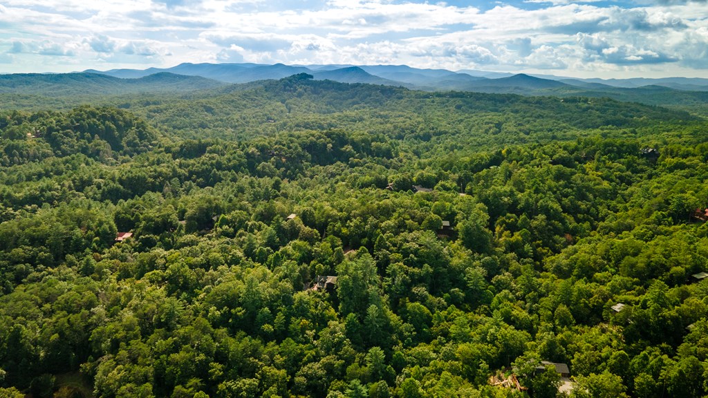 0 Choctaw Ridge Road Blue Ridge, GA 30513 - Photo 15 of 17 Gallery Image 15