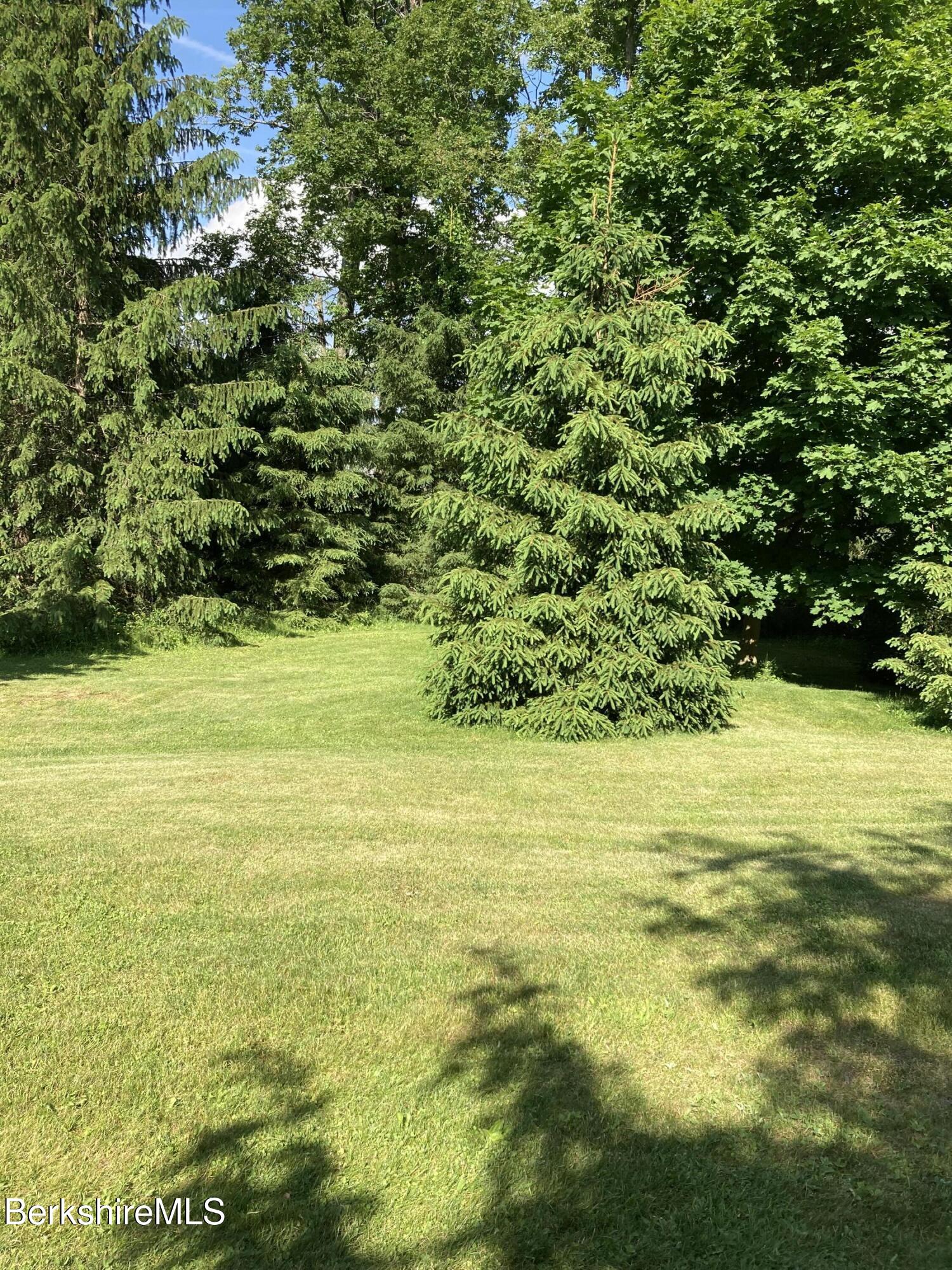 138 Hillsdale Road Egremont, MA 01230 - Photo 25 of 28 IMG_0519