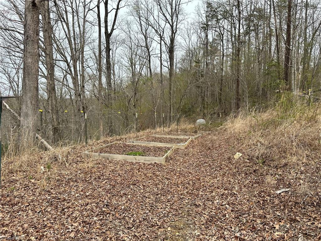 1747 Msn Ext Road Danbury, NC 27016 - Photo 26 of 39 Garden area with the well cap in the background.