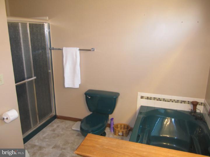 105 Teen Challenge Road Womelsdorf, PA 19567 - Photo 22 of 24 Master Bathroom