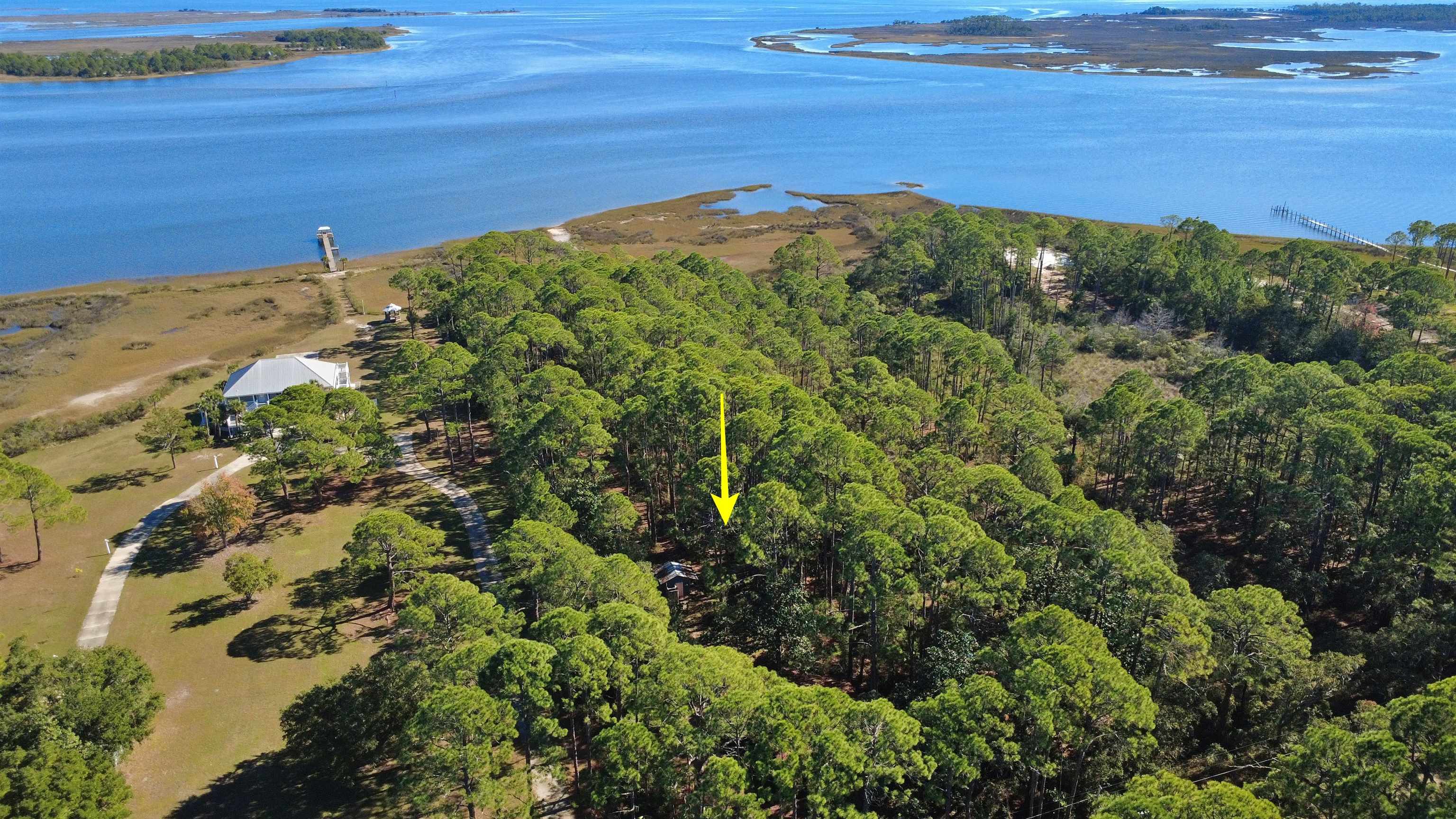 182 Levy Bay Road Panacea, FL 32346 - Photo 11 of 17 Gallery Image 11