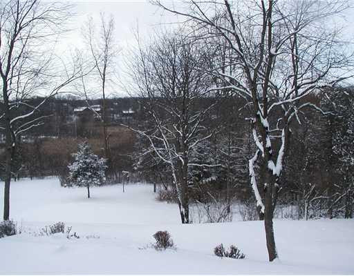 17255 Fahrner Road Chelsea, MI 48118 - Photo 8 of 10 Photo 8