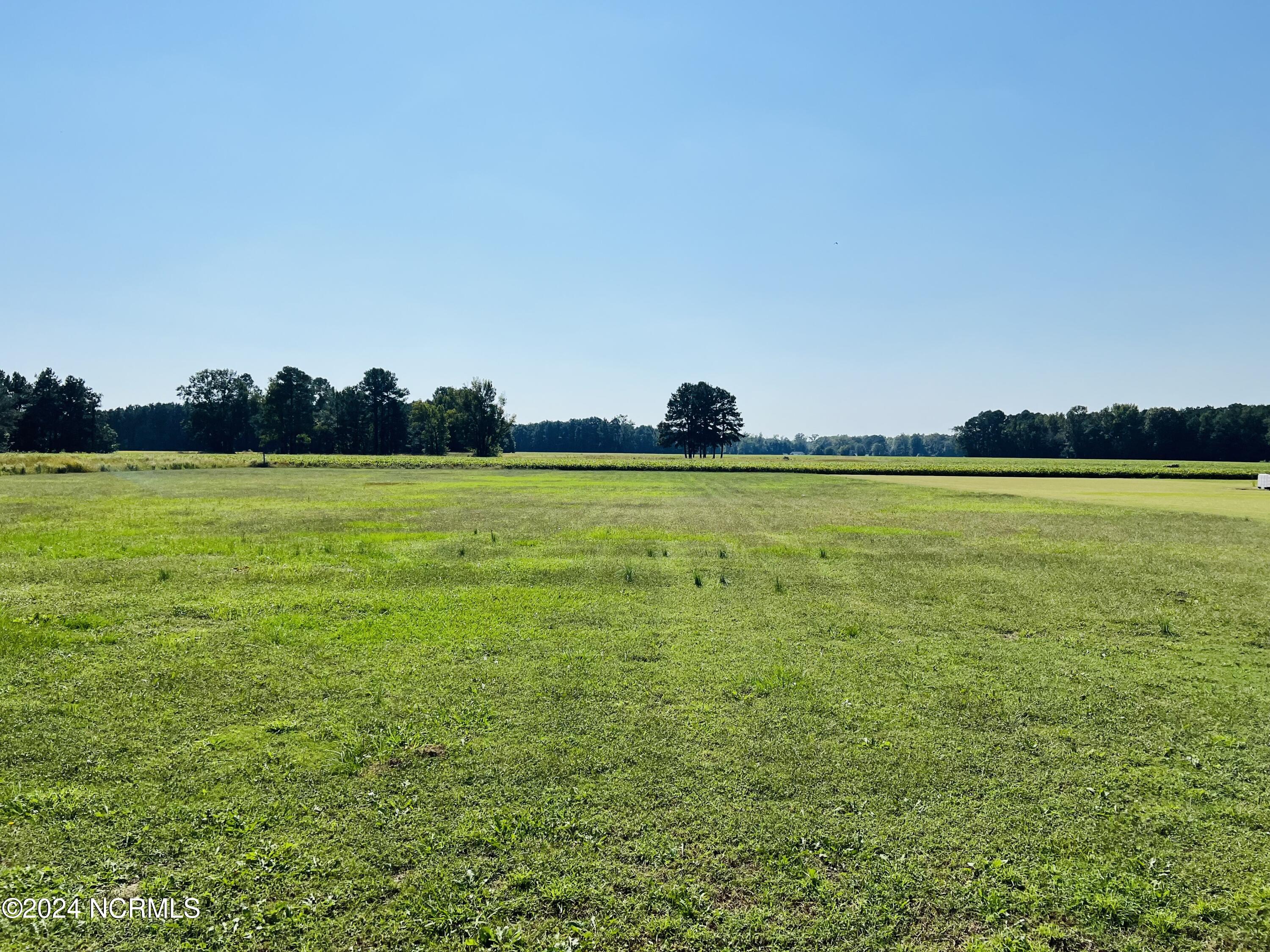 3090 Joe Stocks Road Greenville, NC 27858 - Photo 27 of 27 IMG_9984
