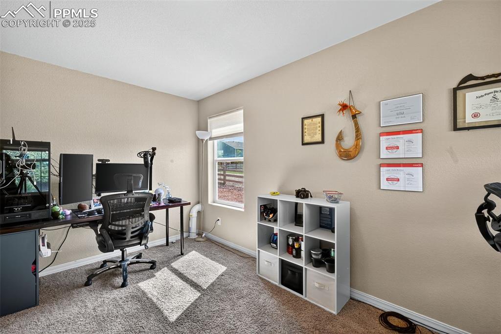 10859 Hidden Ridge Circle Peyton, CO 80831 - Photo 19 of 33 Home office with carpet flooring and baseboards