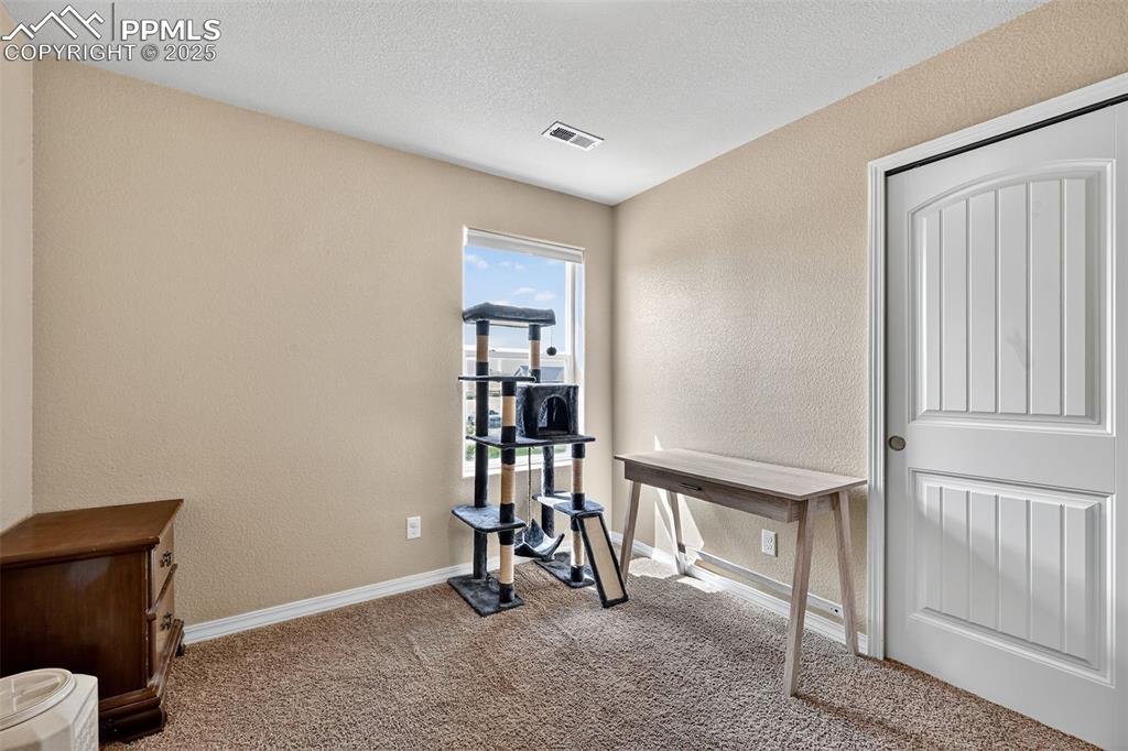 10859 Hidden Ridge Circle Peyton, CO 80831 - Photo 33 of 33 Office area featuring a textured wall, carpet floors, and a textured ceiling